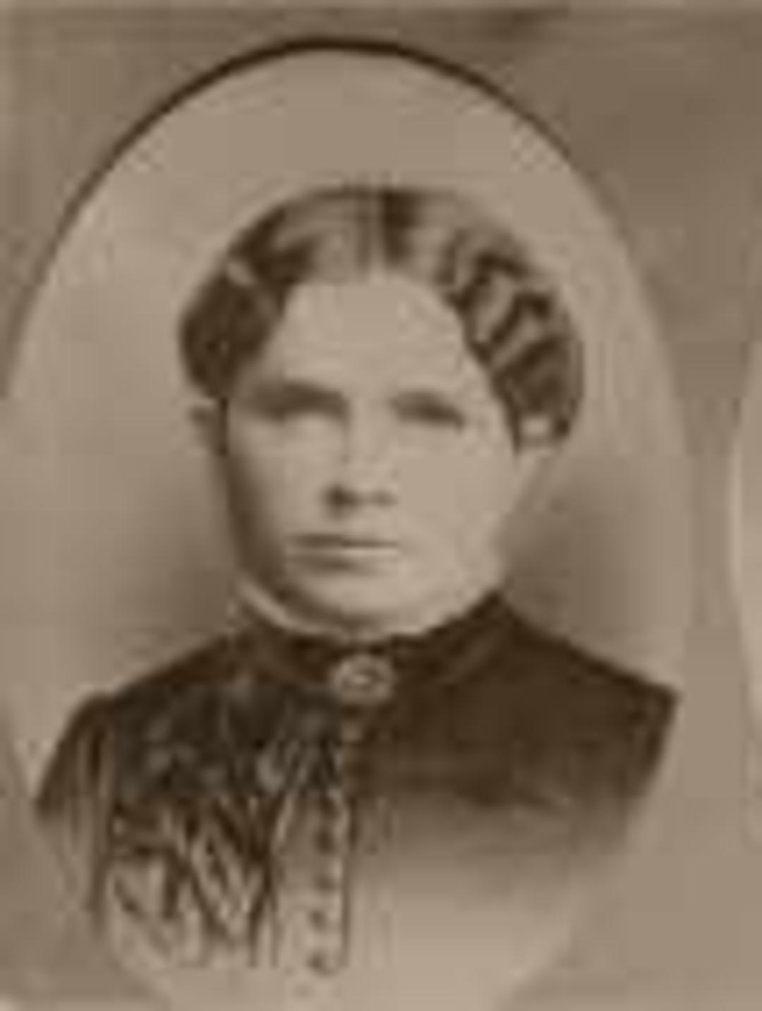 Mary Salome Preator (1851 - 1939) Profile